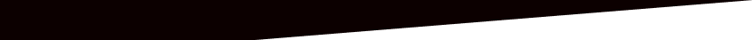 Bottom Left Blck Web Design Element