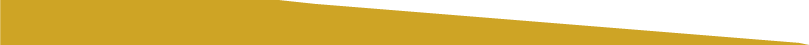 LongBevGoldAsset 1TopLeft