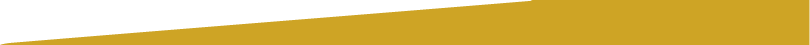 LongBevGoldAsset 1TopRight